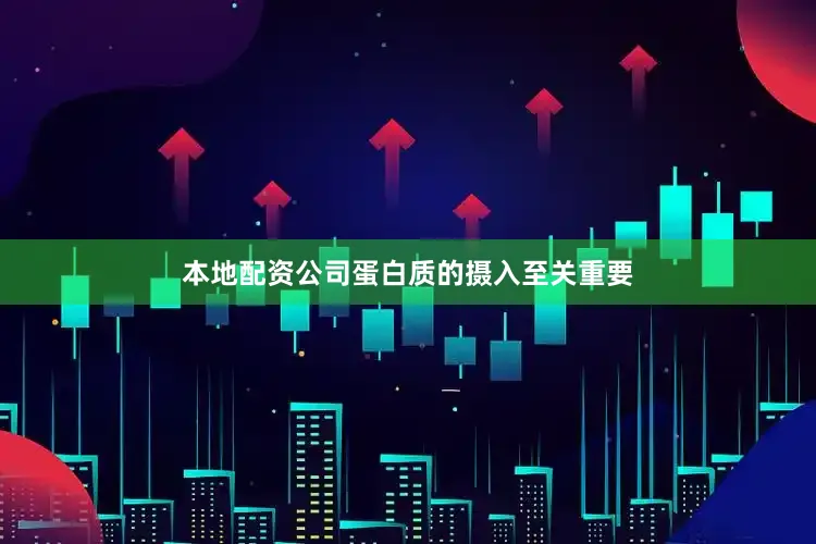 本地配资公司蛋白质的摄入至关重要